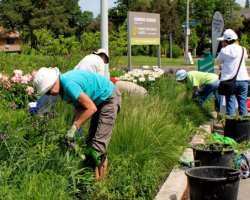 The adults can also get knowledge of horticulture. The adults can also get knowledge of horticulture. The garden offers about 20 courses in a year to provide knowledge about gardening, urban beekeeping